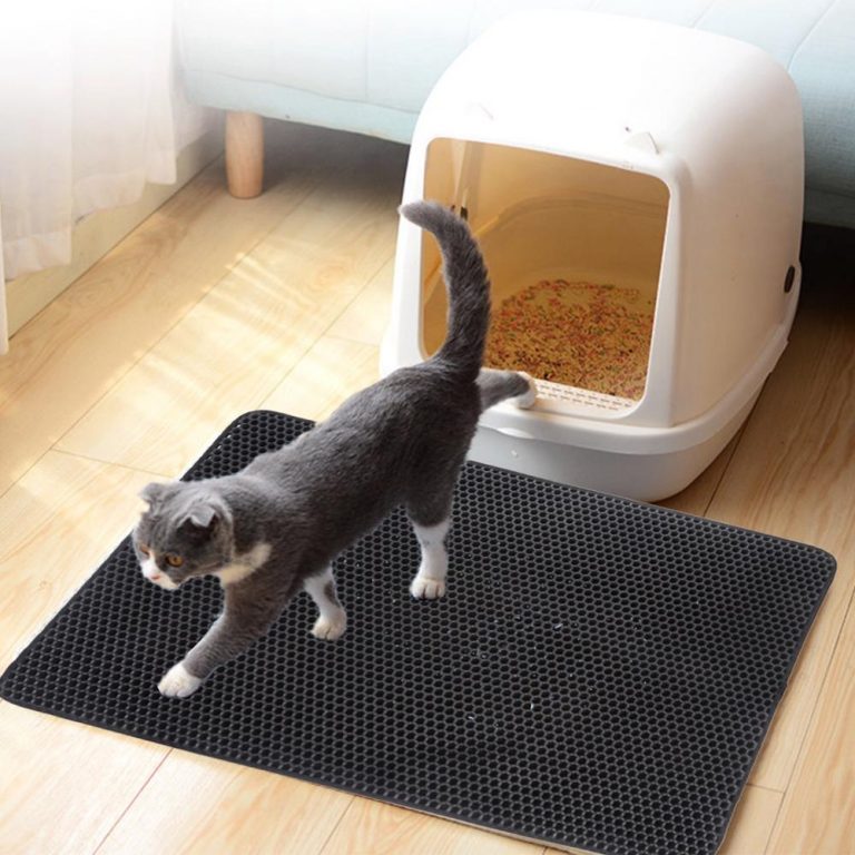 3PX-CATSLTRMAT-1